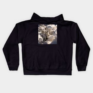 Fresh snow Kids Hoodie